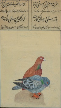 Appraisal: An Indian School Miniature Painting of Pigeons on a Book