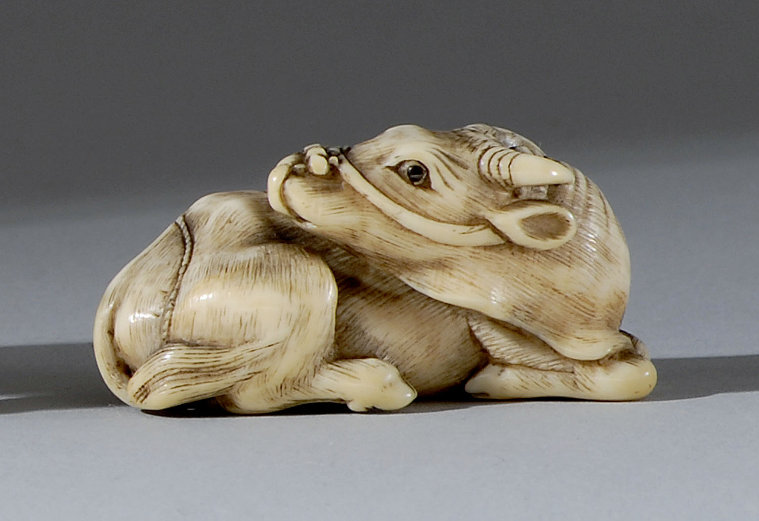 Appraisal: IVORY NETSUKE th CenturyIn the form of a reclining water