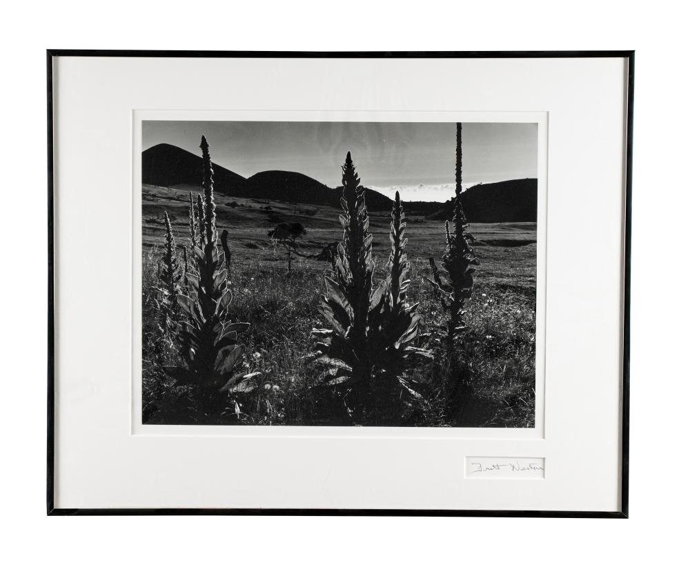 Appraisal: BRETT WESTON HAWAII gelatin silver print signed and numbered Provenance