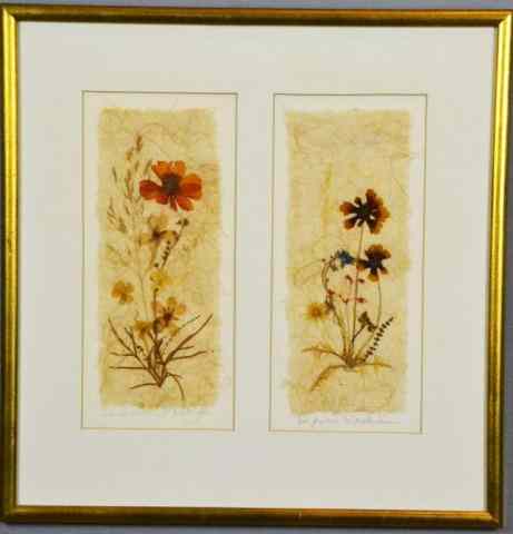 Appraisal: Signed Framed Press FlowersTwo pressed flowers on handmade paper in