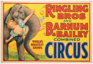 Appraisal: Ringling Brothers and Barnum Bailey Combined Circus Elephant and Stuntwoman