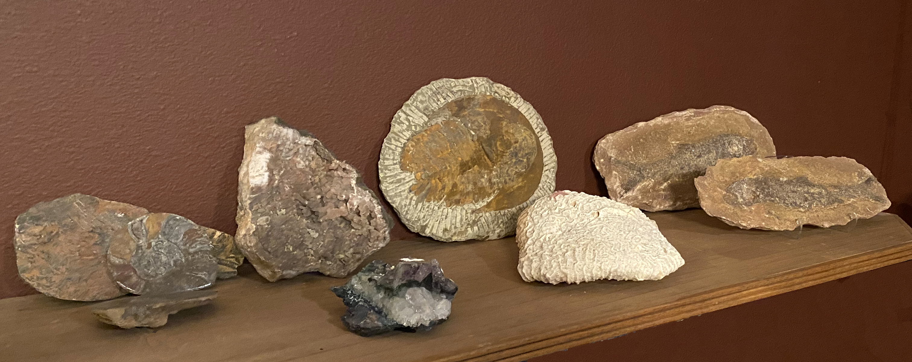 Appraisal: PIECE GEODE AND FOSSIL COLLECTION Comprising - Nautilus fossils -