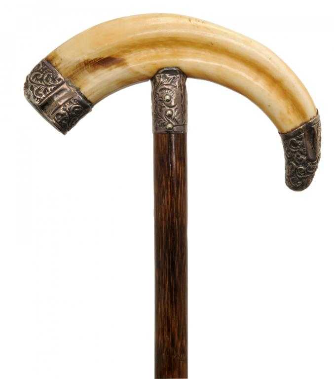 Appraisal: AN EDWARD VII SILVER-MOUNTED BOAR'S TUSK-HANDLED WALKING CANE of bamboo