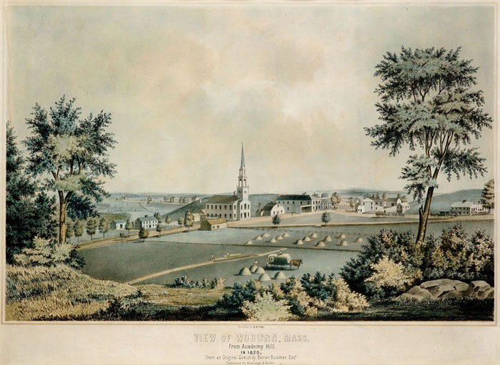 Appraisal: VIEW OF WOBURN MASS FROM ACADEMY HILL IN Handcolored lithograph