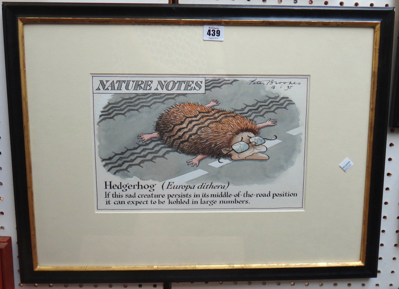 Appraisal: Peter Brookes b Nature notes Hedgerhog watercolour and ink signed