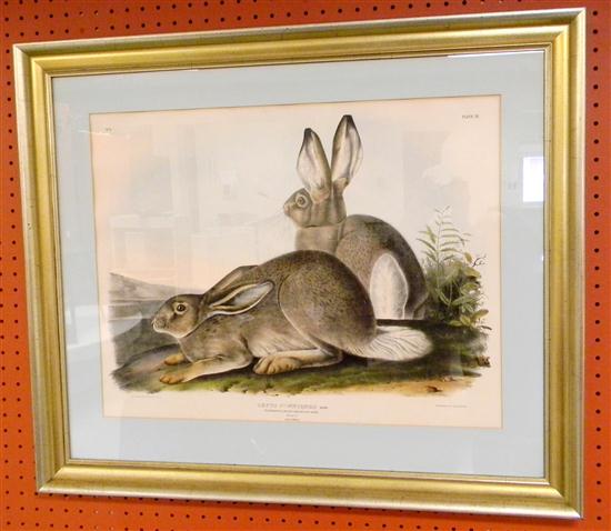 Appraisal: Audubon JT Bowers ''Lepus Townsendii'' rabbits large folio matted and