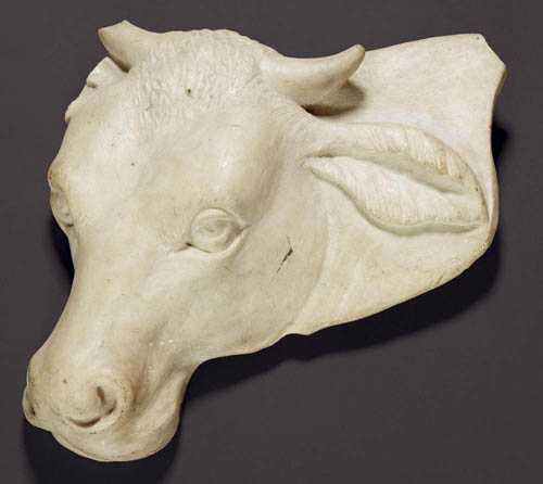 Appraisal: WHITE MARBLE FRAGMENT HEAD OF A COW Renaissance probably Italy