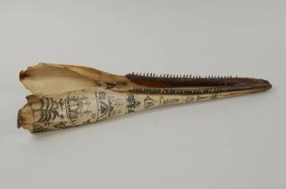 Appraisal: Early Scrimshaw Dolphin Jaw Bone Early scrimshaw dolphin jaw bone