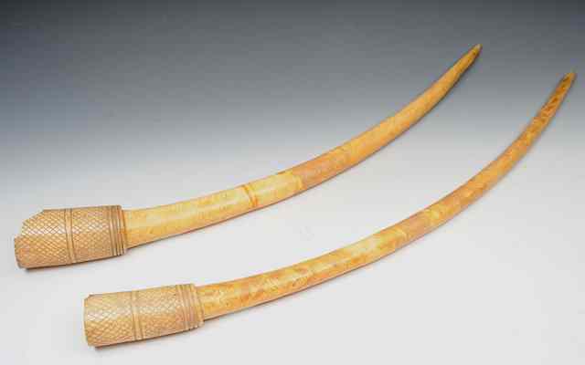 Appraisal: A PAIR OF AFRICAN IVORY DIVINATION TAPPERS the reduced tusks