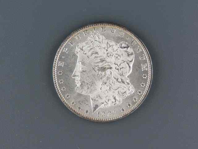 Appraisal: Morgan Silver Dollar uncirculated