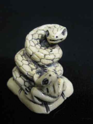 Appraisal: Carved Ivory Netsuke of a Snake Toad coiled snake looking