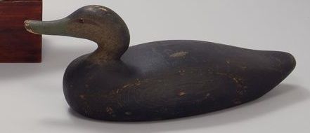 Appraisal: HOLLOW-CARVED BLACK DUCK By Whittmore of the Plum Island Massachusetts