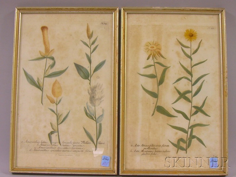 Appraisal: Lot of Three Hand-colored Sporting and Botanical Engravings including Hunting