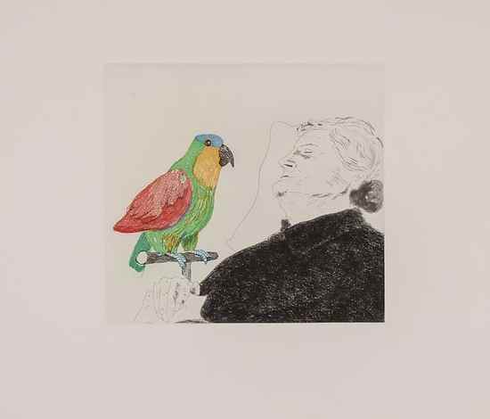 Appraisal: David Hockney b F licit Sleeping with Parrot Illustration for