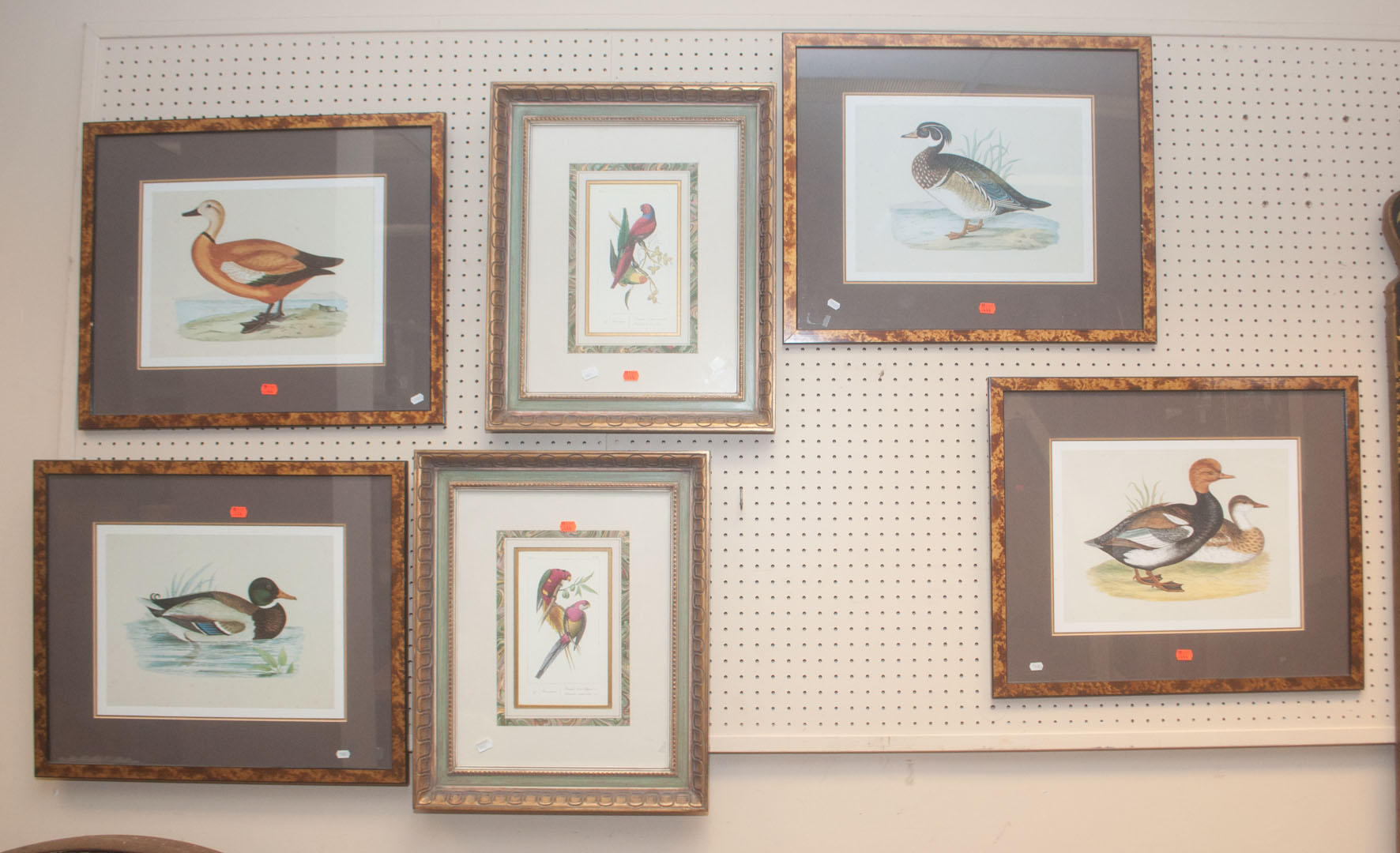 Appraisal: Six framed bird prints Undernumber