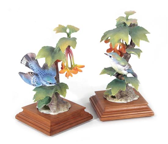 Appraisal: Pair Dororthy Doughty Cerulean Warblers Royal Worcester dated with maple