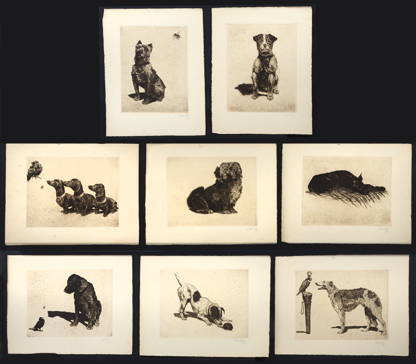 Appraisal: CASBERG Paul German - ''Hundepack'' a portfolio of dog etchings