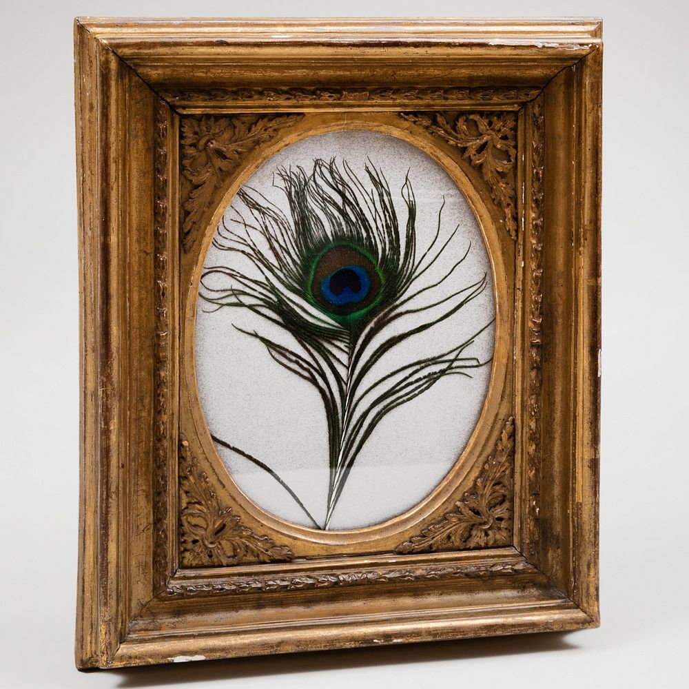 Appraisal: Framed Peacock Feather from Houghton Hall x in frame Applied