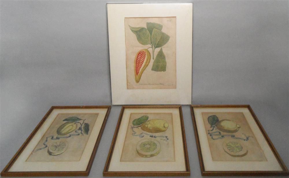 Appraisal: FOUR FRUIT PRINTS LIMON SBAR DONIUS POMUM ADAMI RHEGINUM LUVMIA