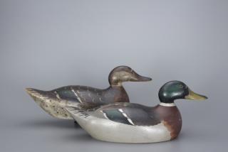 Appraisal: Premier Grade Mallard Pair Mason Decoy Factory Premier Grade Mallard