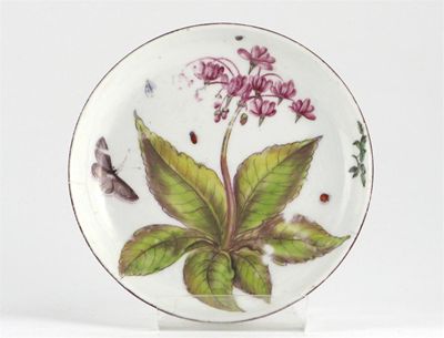 Appraisal: A Chelsea 'Hans Sloane' saucer painted with a botanical specimen