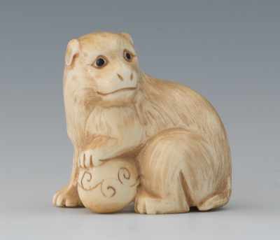 Appraisal: A Carved Ivory Netsuke of a Dog Depicting a seated