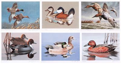 Appraisal: Six Federal duck stamp prints - Mallards Richard Plasschaert American