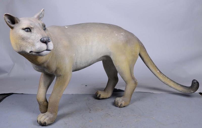 Appraisal: Life-Size Fiberglass Cougar Prop Made of a hollow plastic fiberglass