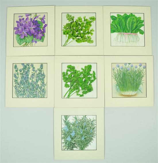 Appraisal: Seven Gouache Watercolor Herb Illustrations Circa Originally used as Burpee