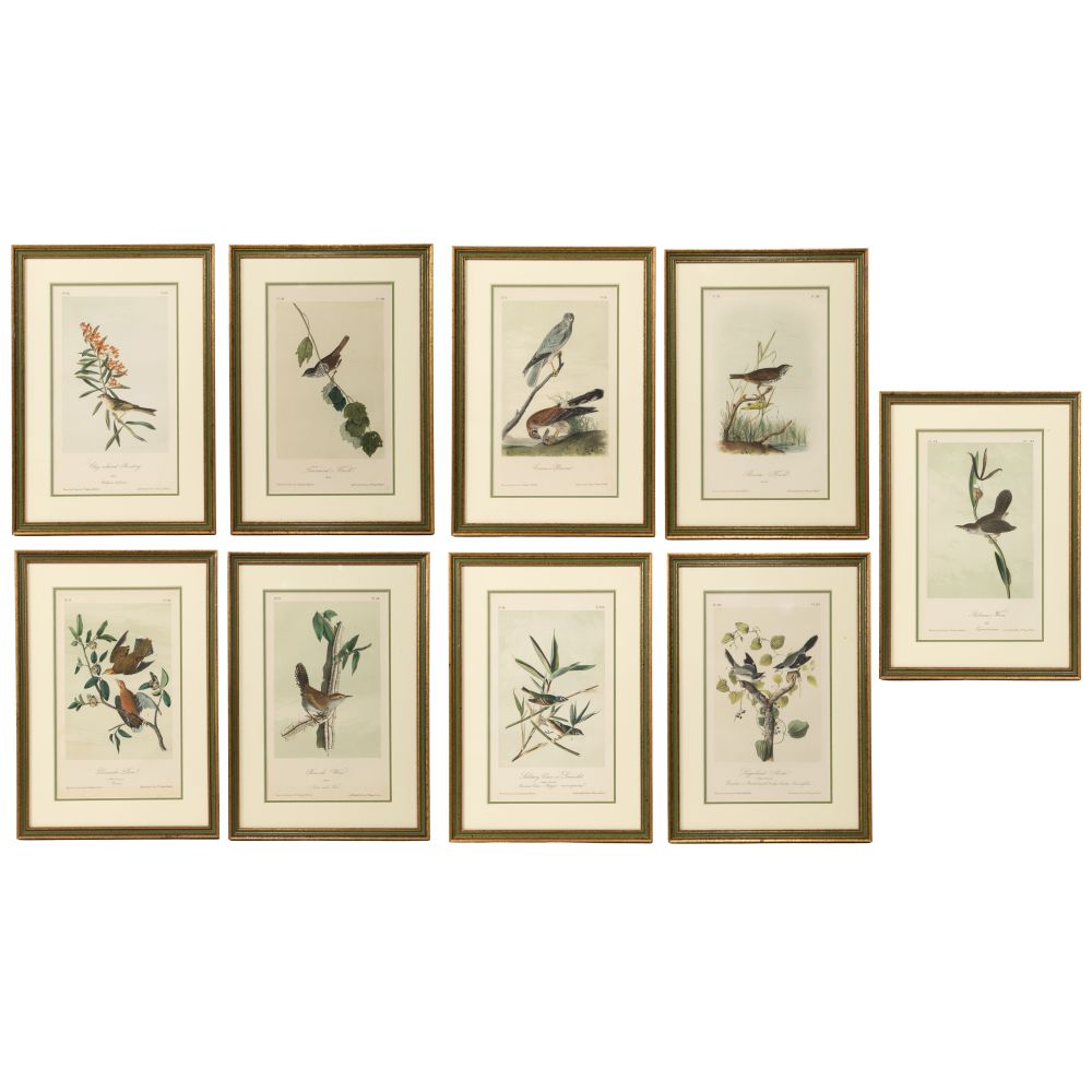 Appraisal: AFTER J J AUDUBON AMERICAN - LITHOGRAPH ASSORTMENT - hand