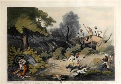 Appraisal: SHOOTERS COMING BY SURPRISE UPON A TIGER Hand-colored engraving x