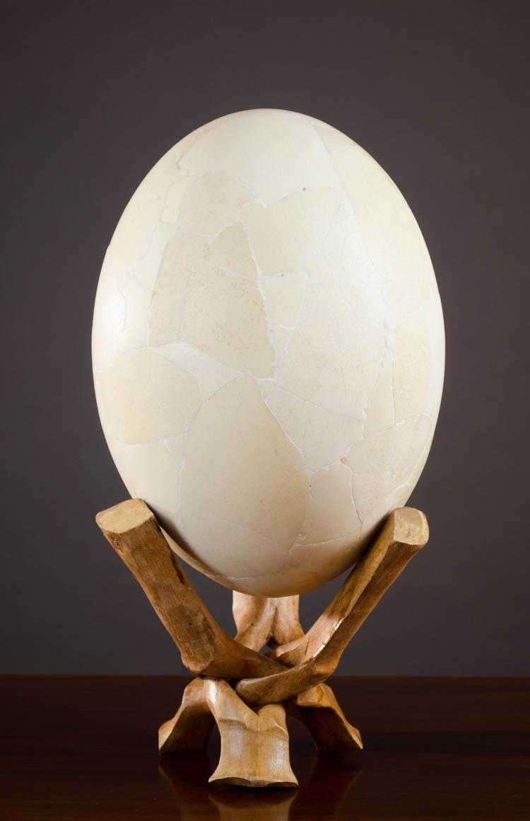 Appraisal: ELEPHANT BIRD EGG from Madagascar including certificate of authenticity Height