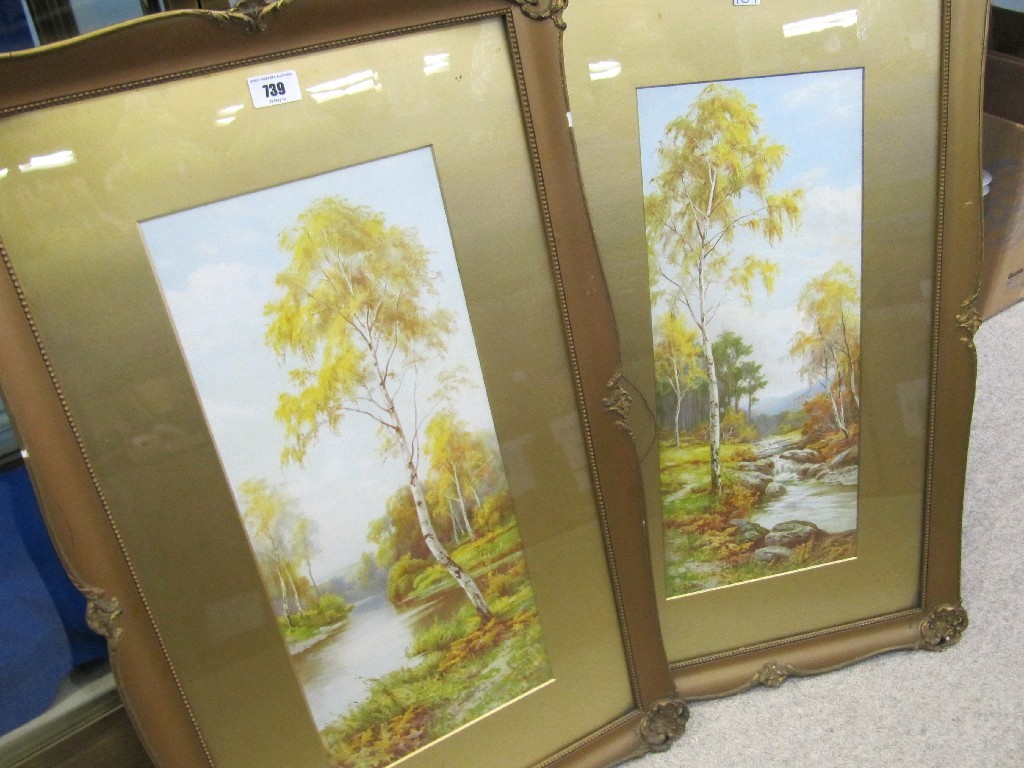 Appraisal: Pair of framed pictures featuring silver birch