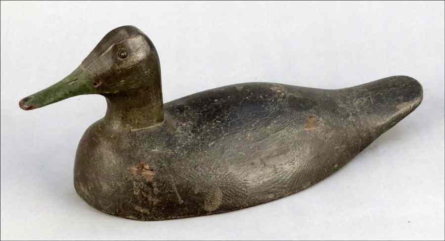 Appraisal: PETER STORM DECOY Early th century Black Duck H ''