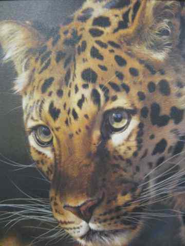 Appraisal: Carl Brenders ''East of the Sun-Chinese Snow''leopard giclee on canvas