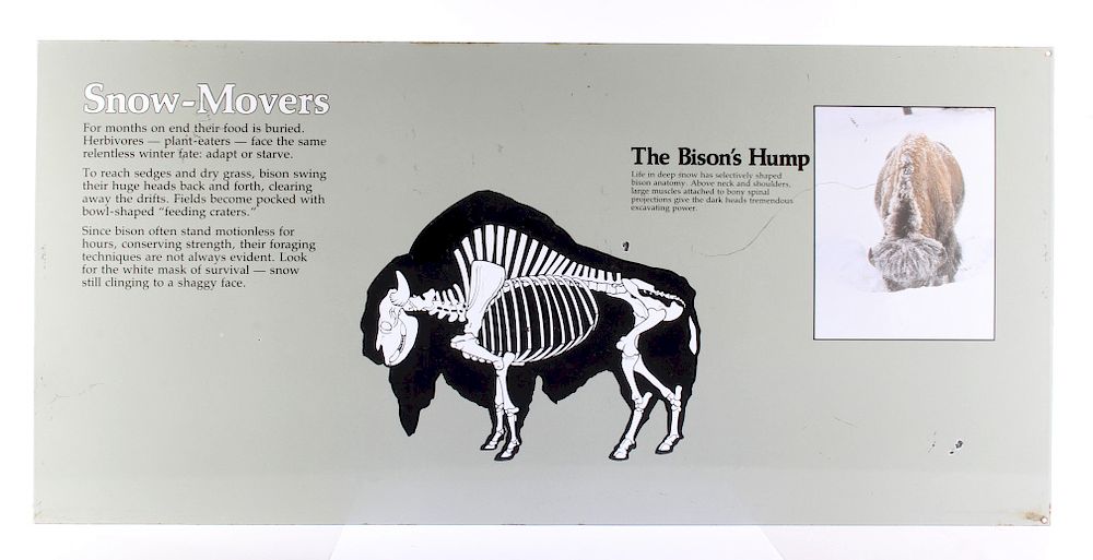 Appraisal: Porcelain Enamel Yellowstone Park Bison Info Sign Included in this