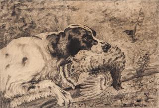 Appraisal: Edmund H Osthaus - attr Setter with Quail charcoal by