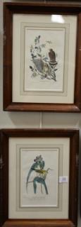 Appraisal: Set of six Audubon prints Drawn from nature by J