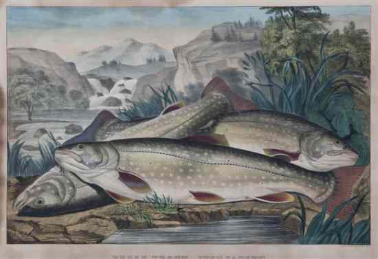 Appraisal: Currier and Ives Brook Trout Just Caught color engraving x