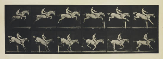 Appraisal: MUYBRIDGE EADWEARD - Diverse group of plates from the seminal