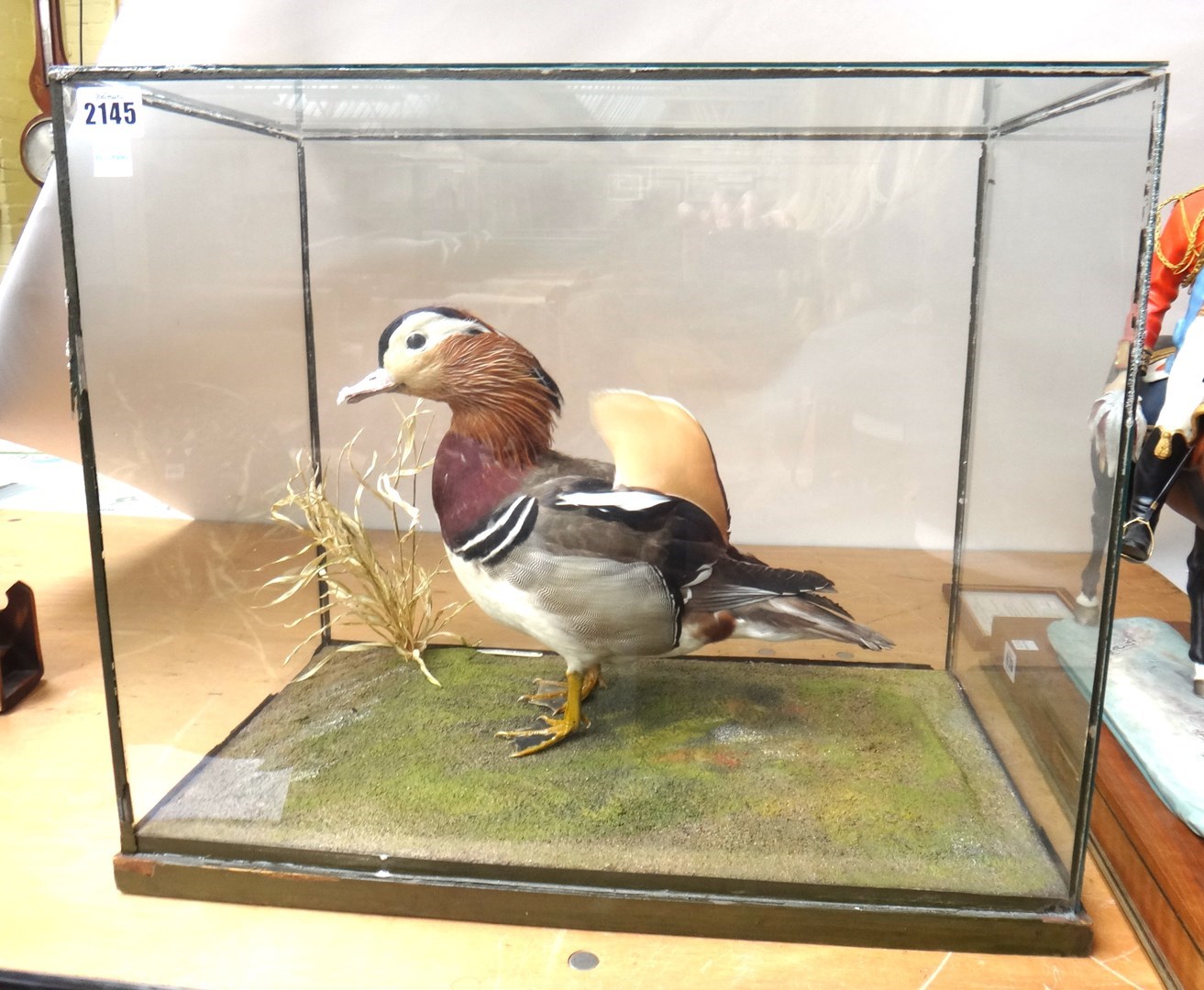 Appraisal: Taxidermy a stuffed and mounted mandarin duck by Rowland Ward