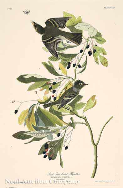 Appraisal: John James Audubon American - Small Green Crested Flycatcher Plate