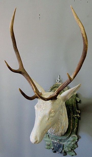 Appraisal: Black Forest carved stag head late th c with gray