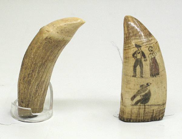 Appraisal: A group of two whale teeth th century The first