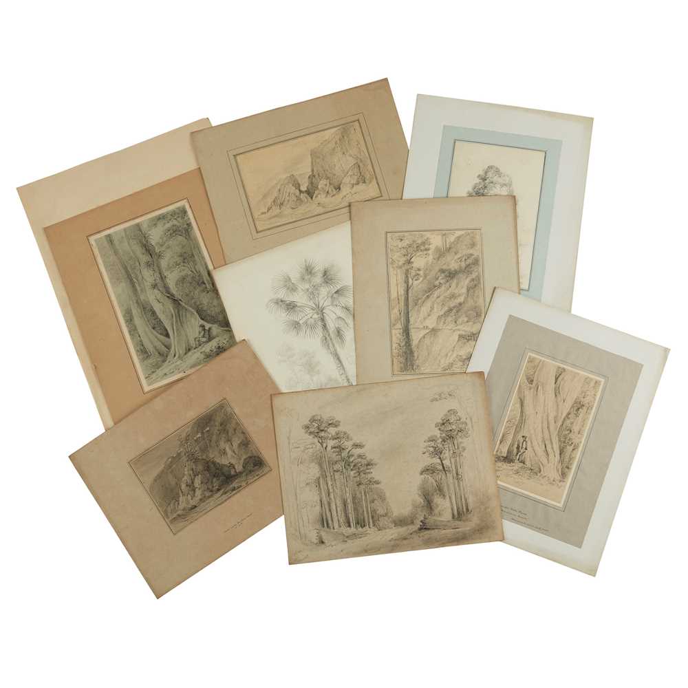 Appraisal: SWAINSON WILLIAM PENCIL SKETCHES OF TREES AND LANDSCAPE IN NEW