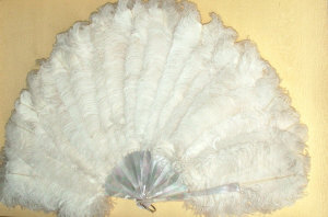 Appraisal: An ostrich feather fan with shell sticks width cm framed