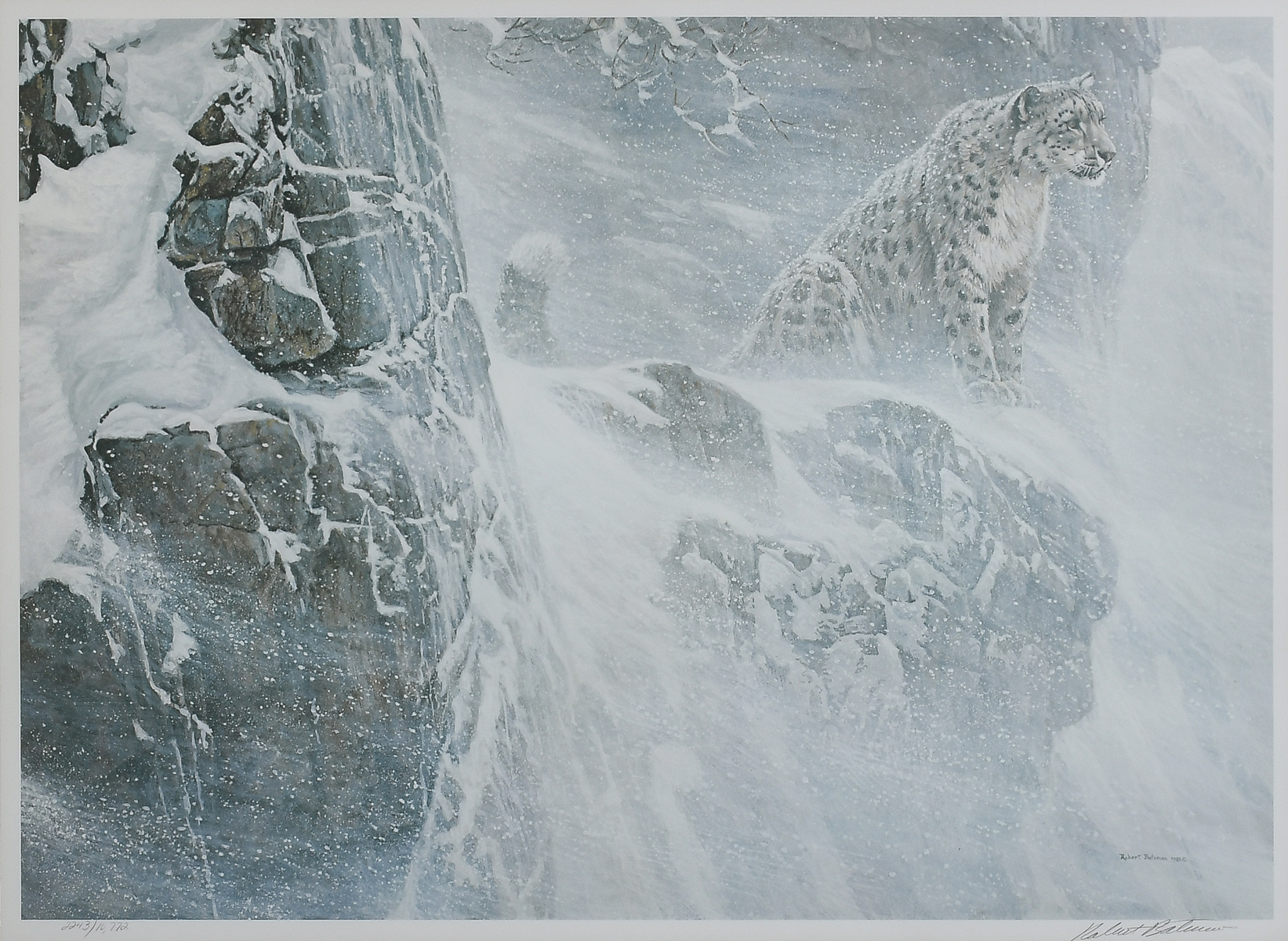 Appraisal: BATEMAN Robert Canadian b ''High Kingdom - Snow Leopard'' Lithograph