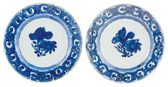 Appraisal: Pair Chinese Export botanical specimen plates circa decorated in underglaze-blue