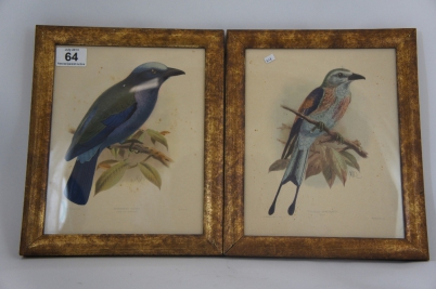 Appraisal: Pair of Signed Audubon Watermarked Pictures of Birds in Gilt