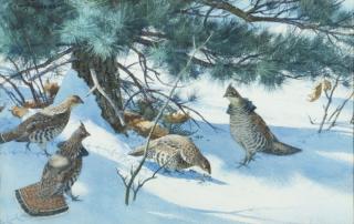 Appraisal: Aiden Lassell Ripley - Grouse Under Pines c signed A